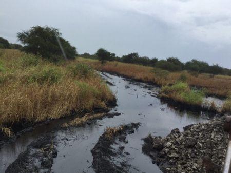 Nigeria : Shell de nouveau accusée de déversement de pétrole dans le Delta du Niger