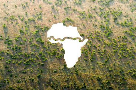 Sahel : la BAD s’engage à mobiliser 6,5 milliards $ pour l’Initiative de la Grande muraille verte